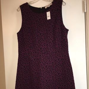Loft Fit and Flare Dress